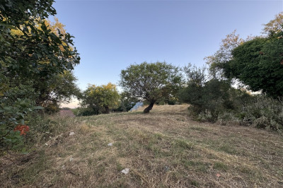 Spanohori Village Edge 03.jpg